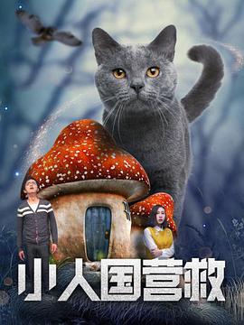 国产高清成人mv在线观看