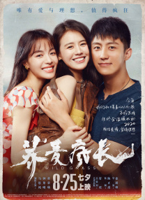 bilibili在线观看