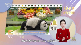 姓生活片
